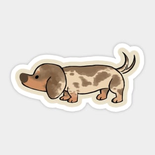 Dachshund Series (dapple) Sticker